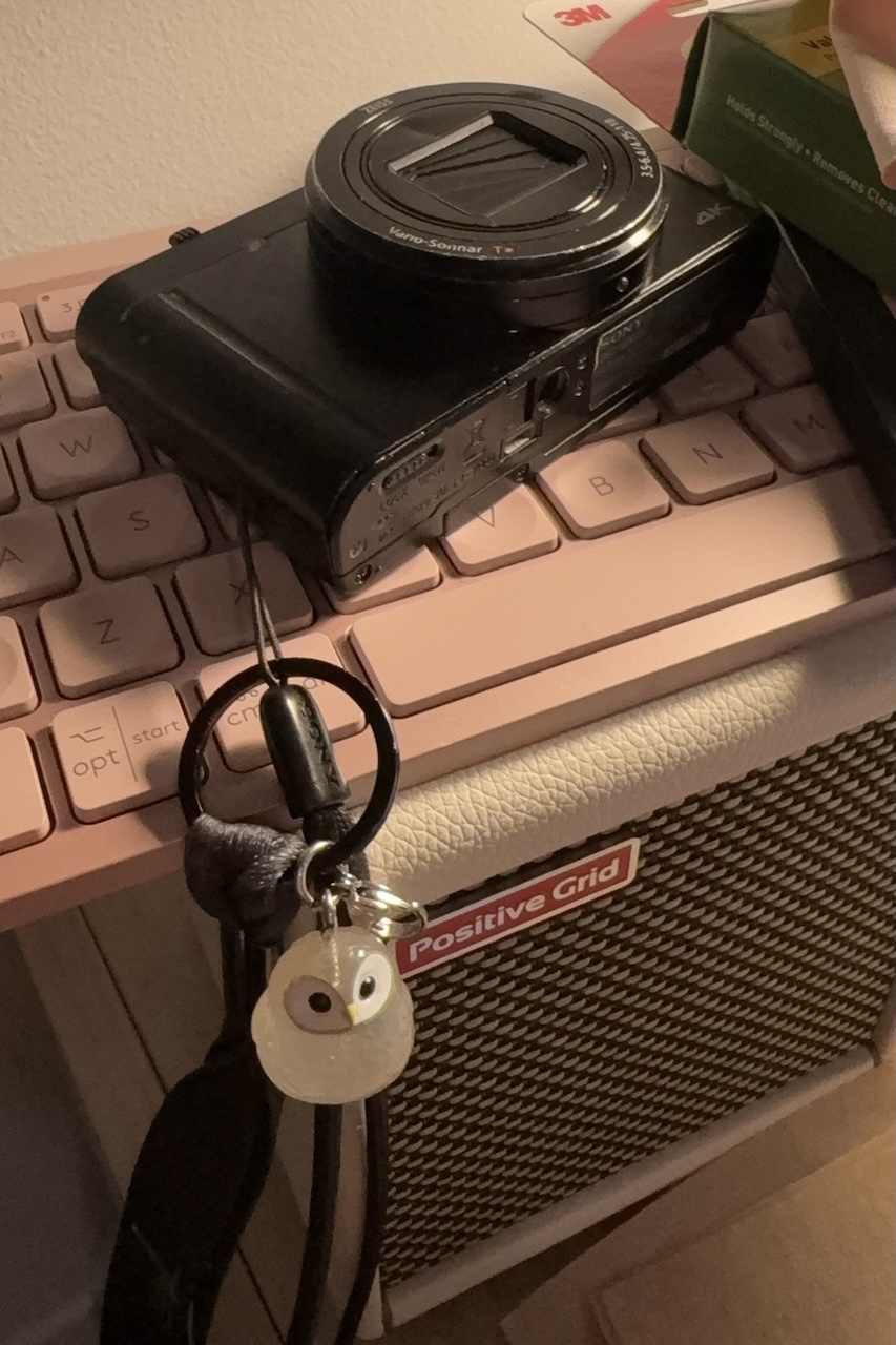 I want to see Ruby so bad that I have a lucky owl on my camera.